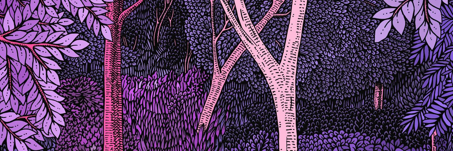 ClaireScully's profile banner image