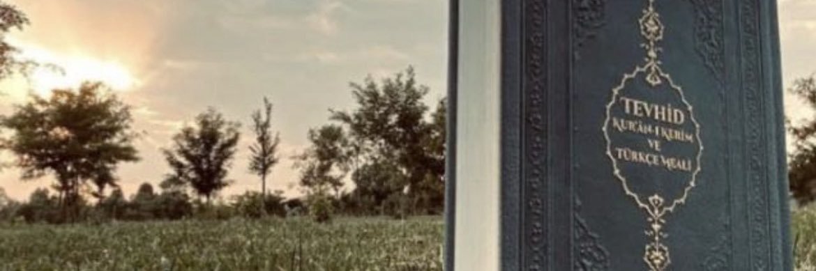ozbayuveys's profile banner image