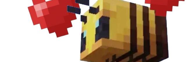 beebitekmj's profile banner image