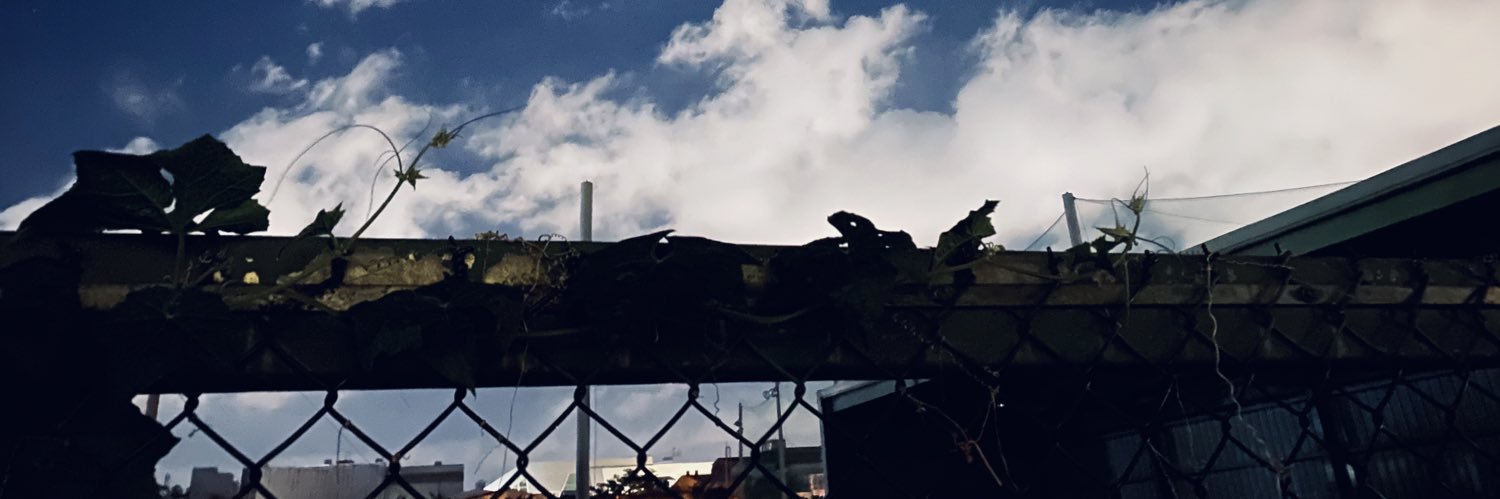 kvzl_'s profile banner image