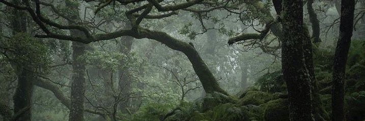 Garden Of Eden banner