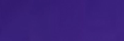 🐞 banner