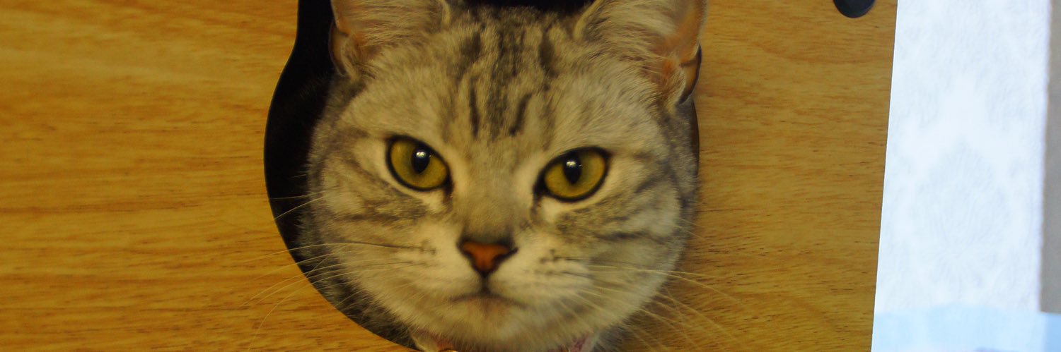 TetsuE231's profile banner image