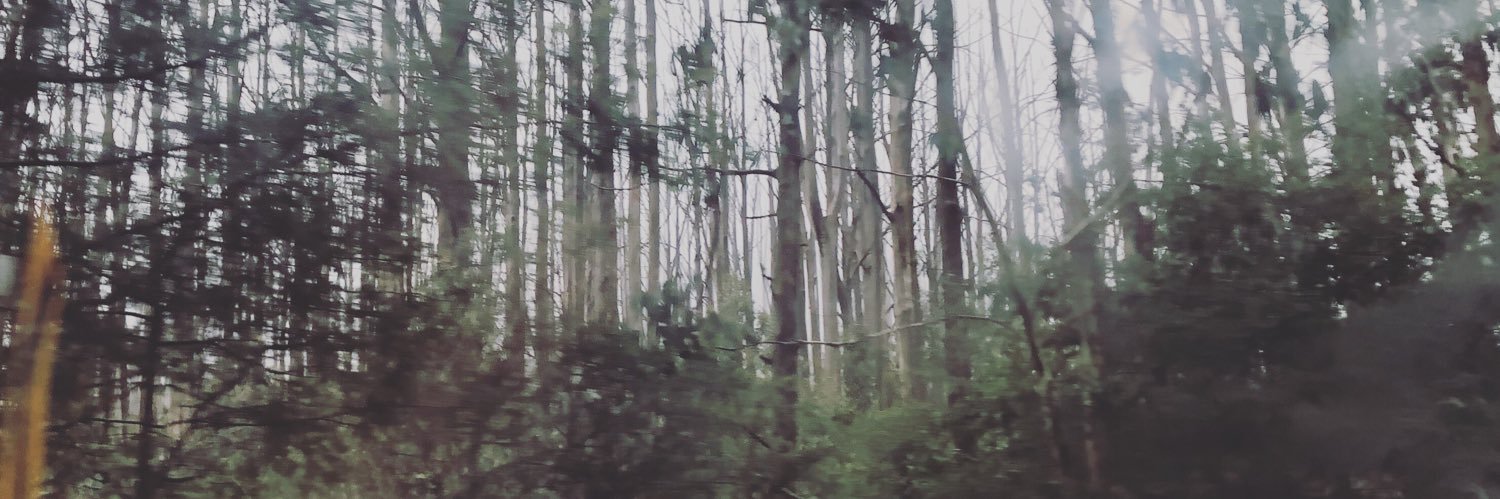 EJadeMoss94's profile banner image