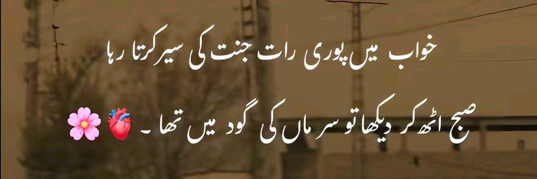 Talha Rajpoot banner