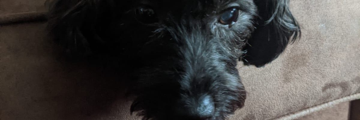 JayDee23's profile banner image