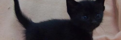 GSchock72744's profile banner image