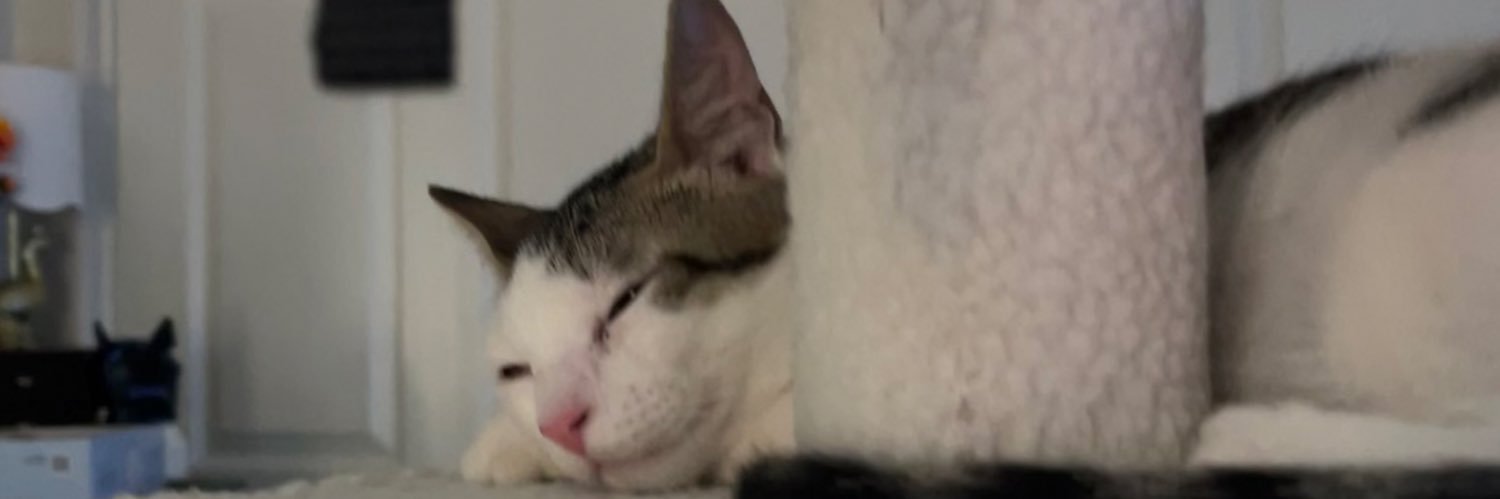 Daily Pixel 🌱 banner