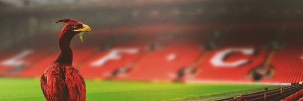 Yusuf_Dada's profile banner image