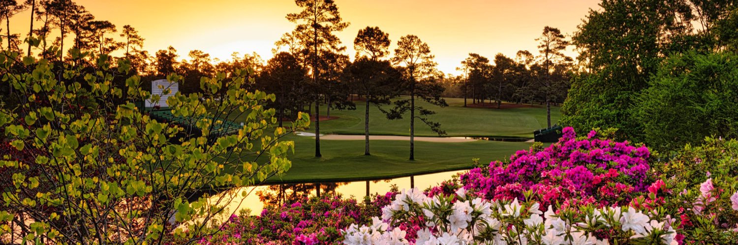 Sunlit Swallow 🐦 banner