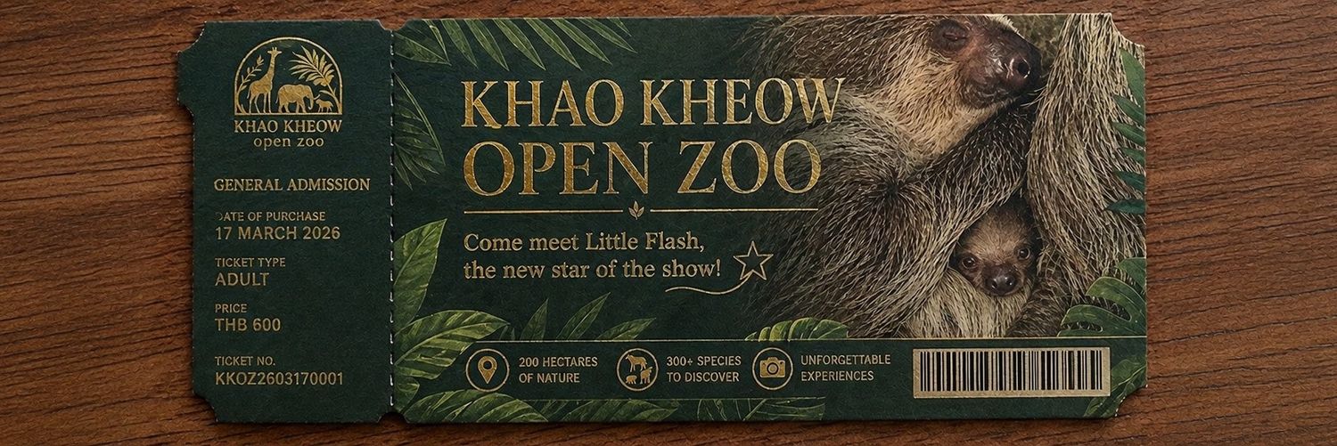 Little Flash banner
