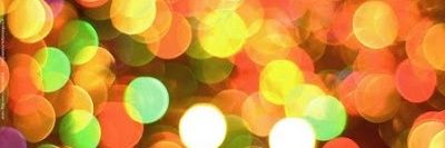 Erin L banner