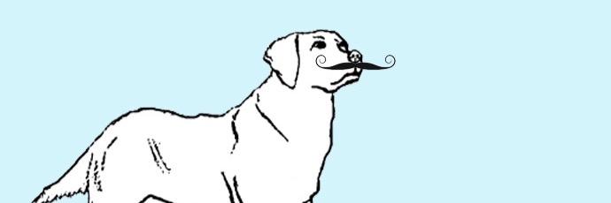 k80avz's profile banner image
