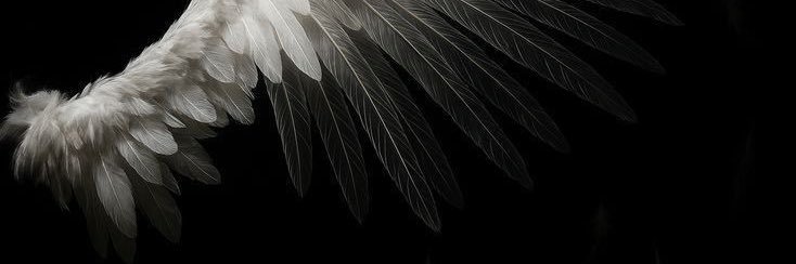 ᴄᴀᴛʙᴏʏ ᴏꜰ ꜱʜᴛᴡᴛ || 🐈‍⬛ banner