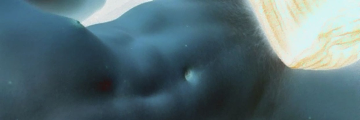 HungnHanging banner