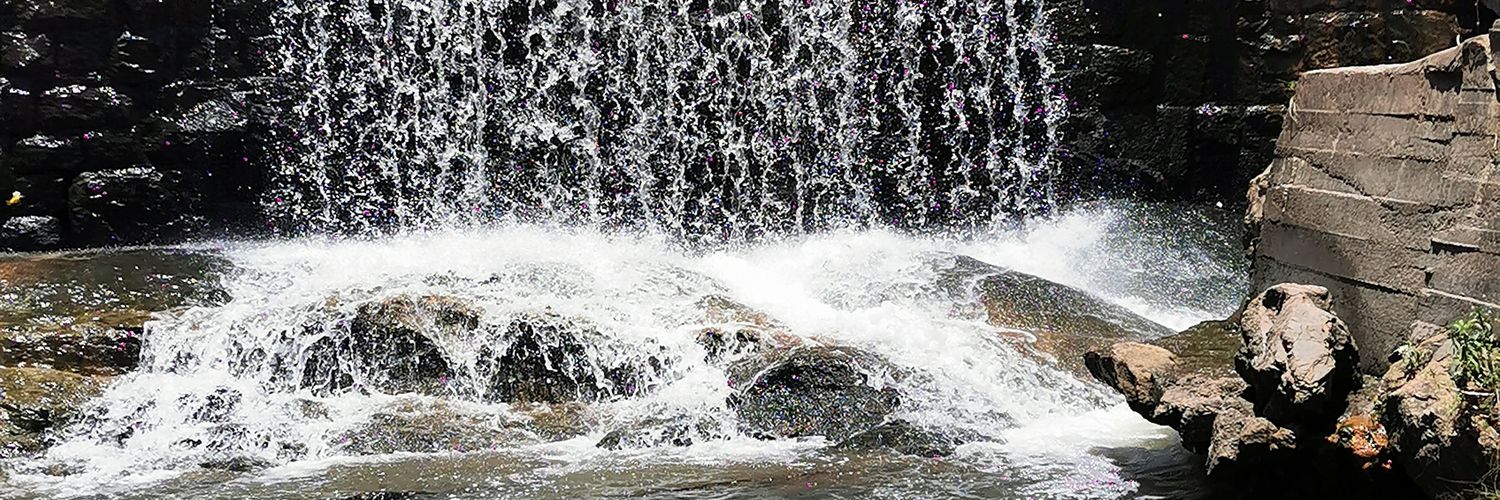 Gogo Mfuleni 🌊 banner