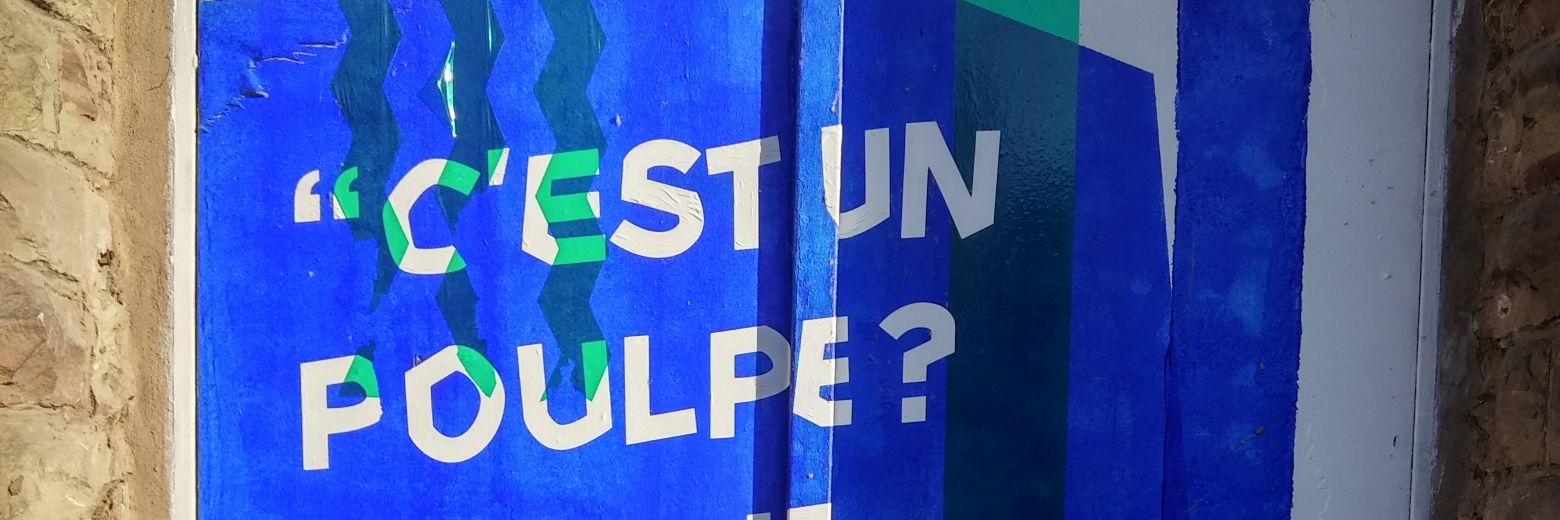 M. Samuel🇮🇱 banner