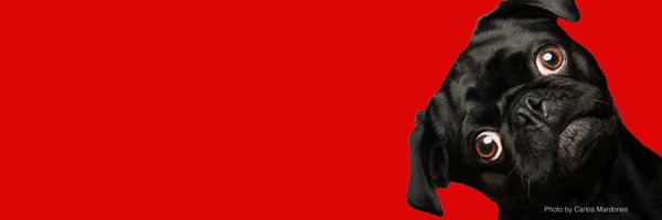 500px Profile Banner