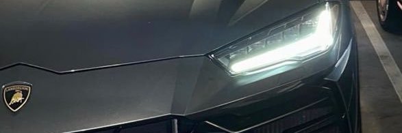 Genuine Daddy Erickson banner