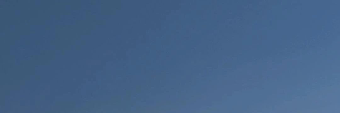 dan banner