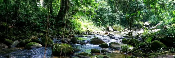 dilenio Profile Banner