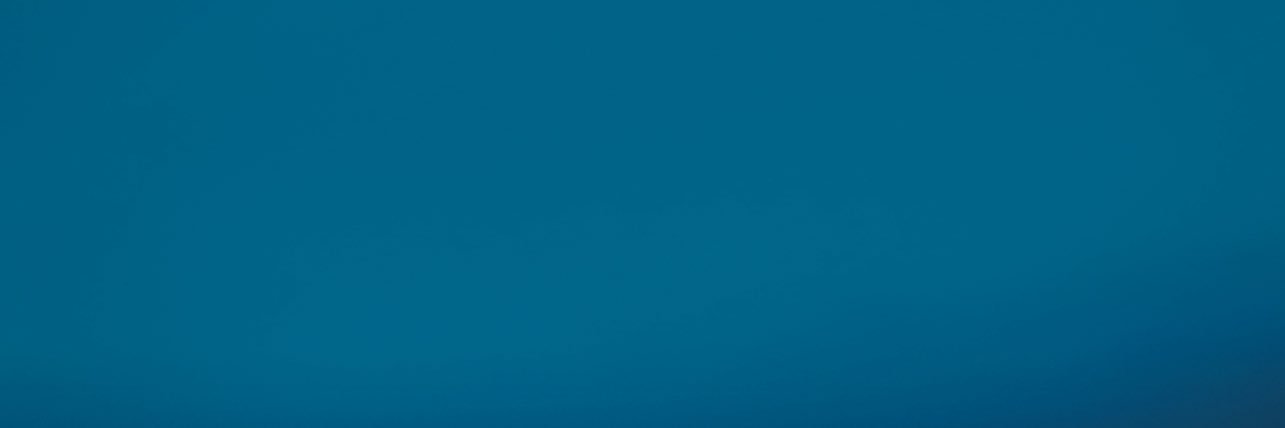 CranelRose's profile banner image