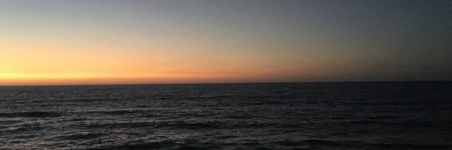sandrograf's profile banner image