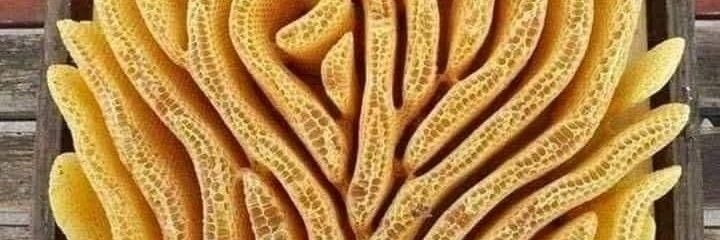 lcbrown62's profile banner image