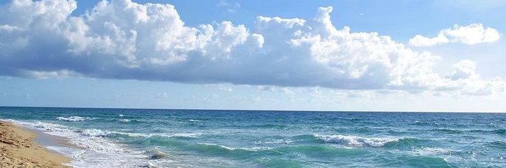 𝒹𝓌 ♡ banner