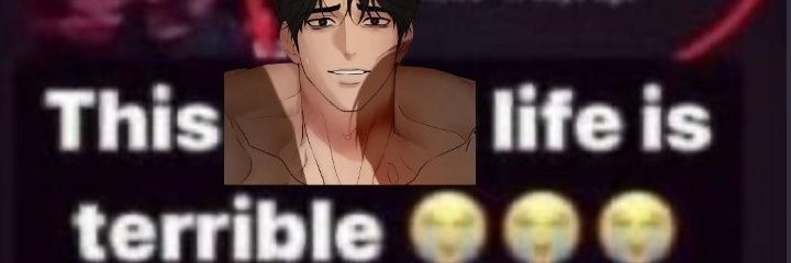 lei da best banner