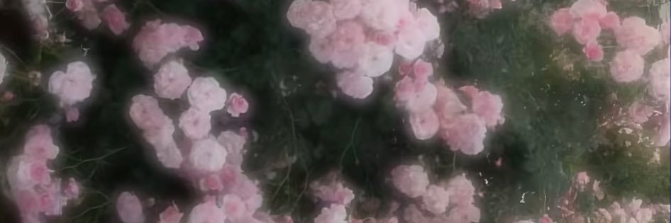 saaaaanluv's profile banner image