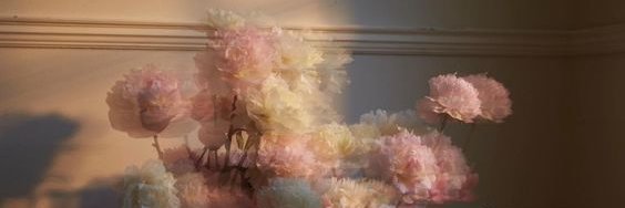 catjal's profile banner image