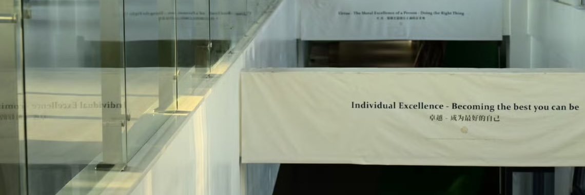 Anneris banner