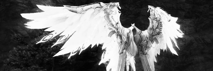 404 banner
