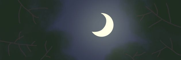 しえり🎀 banner