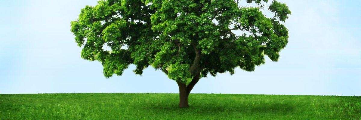 aleksmaker's profile banner image