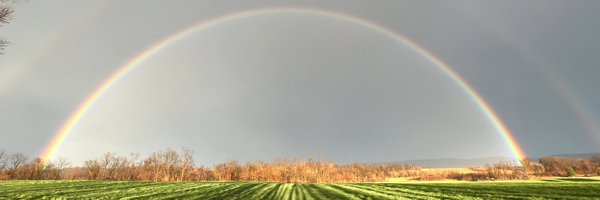 rogiller Profile Banner