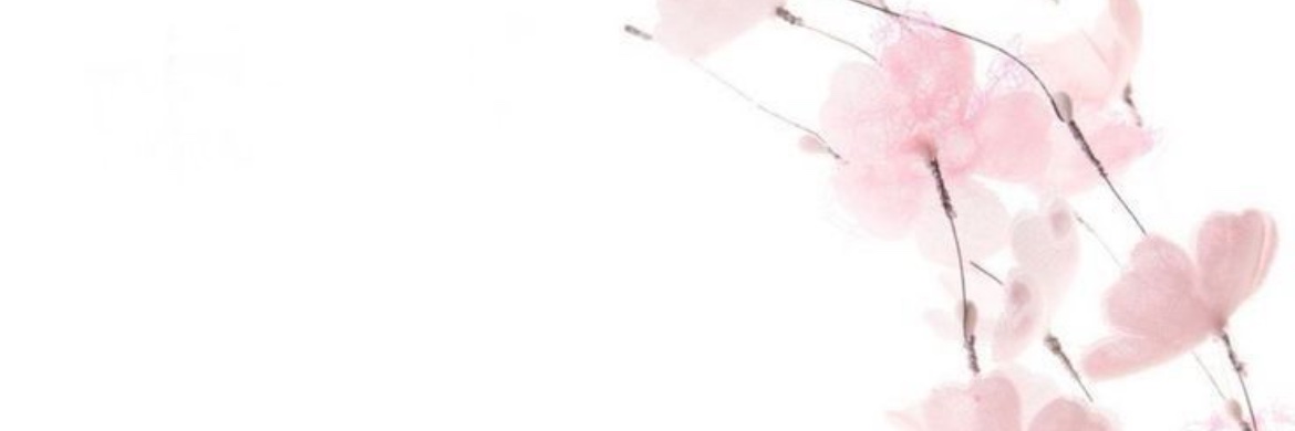 yui | shedtwt banner