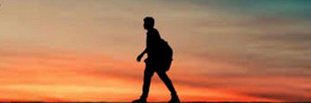 Leo Vance banner