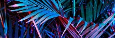 AnnieDusk's profile banner image