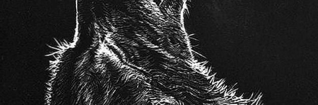 alonsoagchong's profile banner image