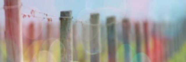 MrsMiesepeter's profile banner image