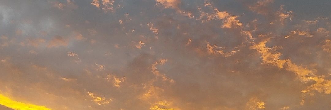 Brenda Ferreira_quer ARIRANGAR...🙏🏻💜🫰🏻🤌🏻 banner