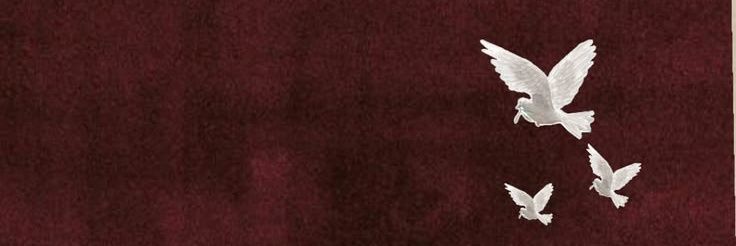 Khalid wains 🖇️ banner