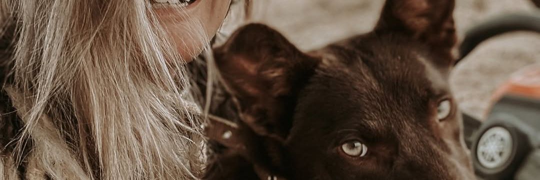Aussie Critter Girl banner