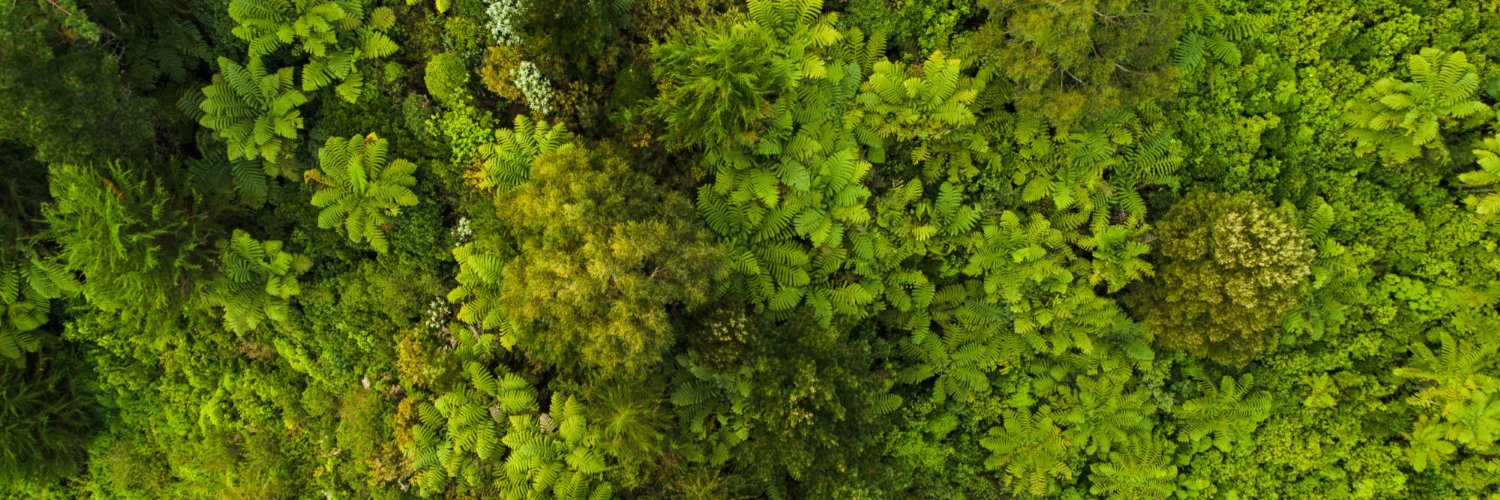 PPBavaud's profile banner image