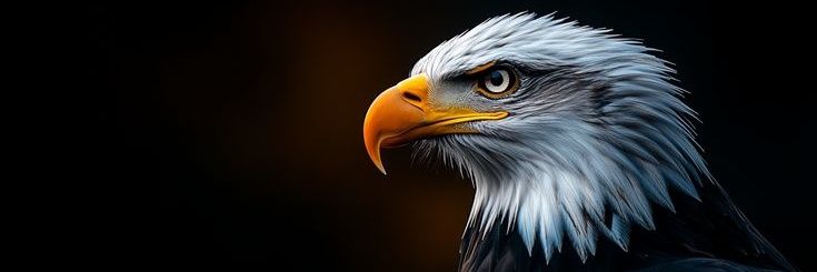 EAGLE banner