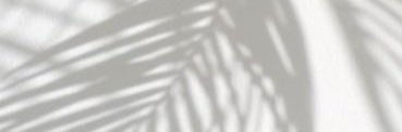 SandraSwag's profile banner image