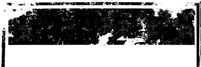 RaskalArts's profile banner image