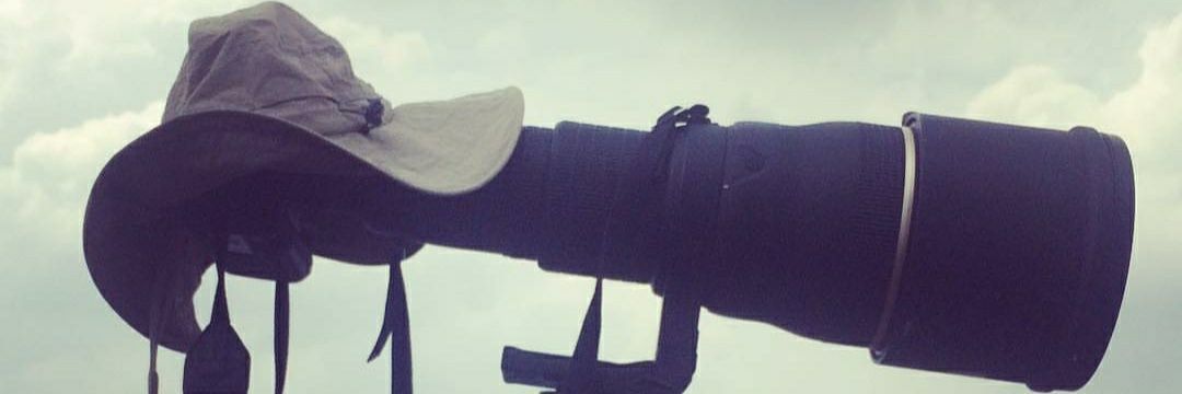 RobertVinod's profile banner image